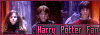 Harry Potter Fan